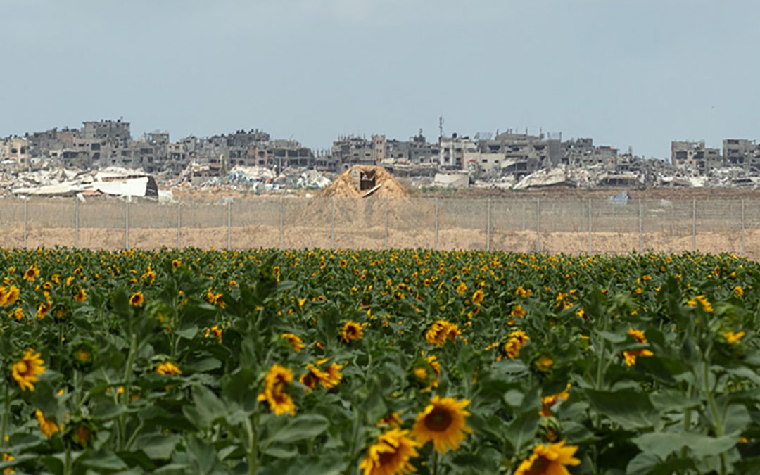 Ohad Matalon