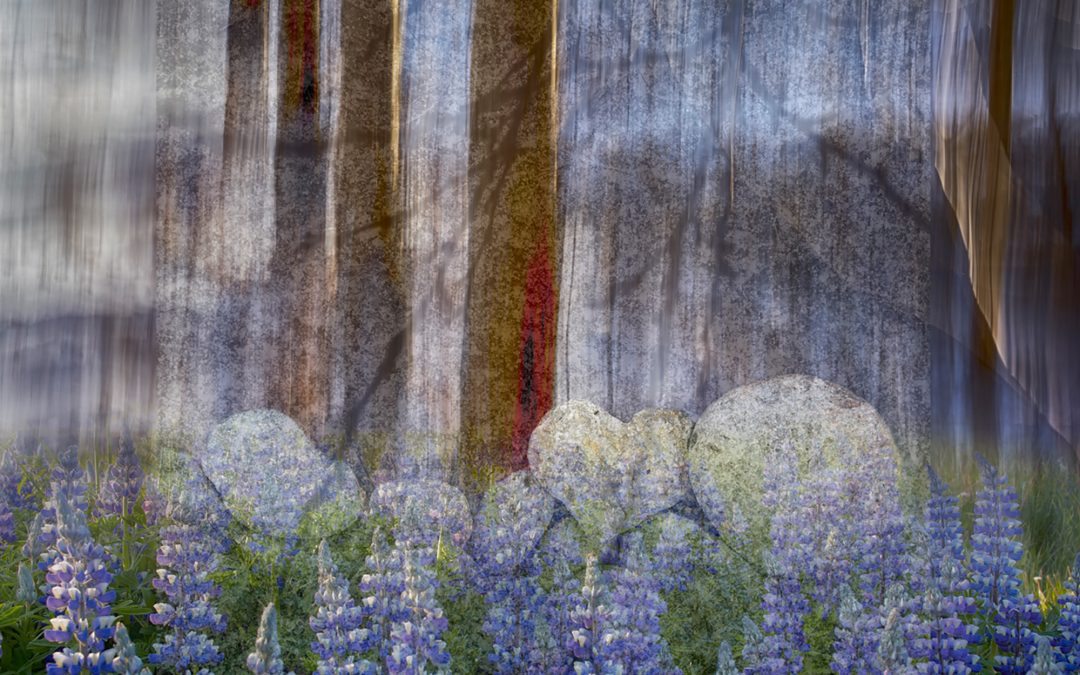 Sigrún Kristjánsdóttir